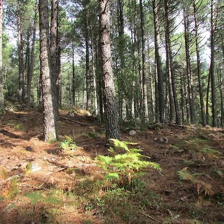 Minivilla Riventosa - Santa Giulia - 50 Passi Dal Mare Porto Vecchio