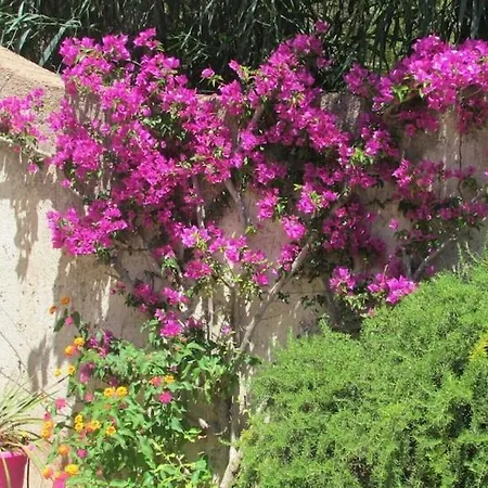 Minivilla Riventosa - Santa Giulia - 50 Passi Dal Mare * Porto Vecchio